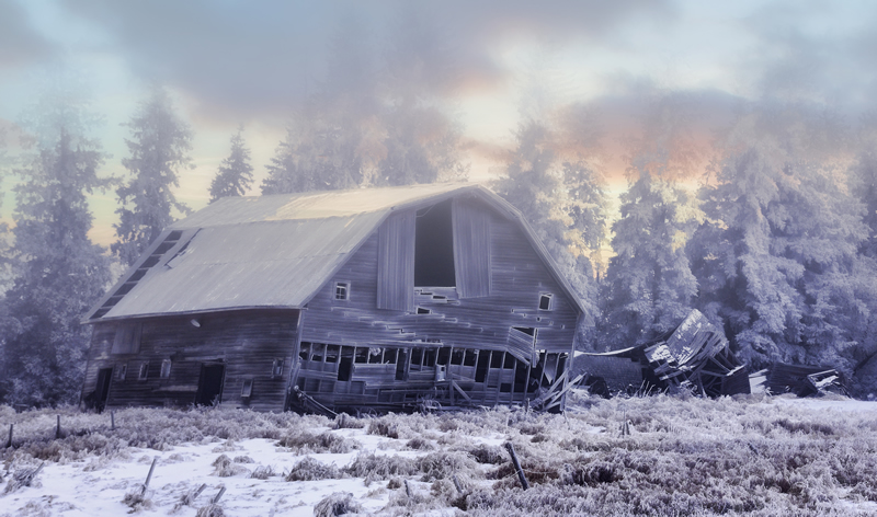 Evening by Pat Stone